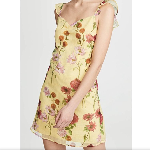 BB Dakota Dresses & Skirts - BB DAKOTA Sweer Scape Mini Dress.Size 4